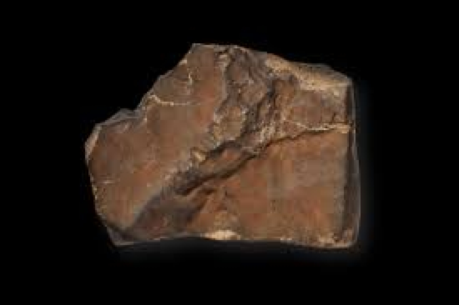 Meteorito marciano em leilão